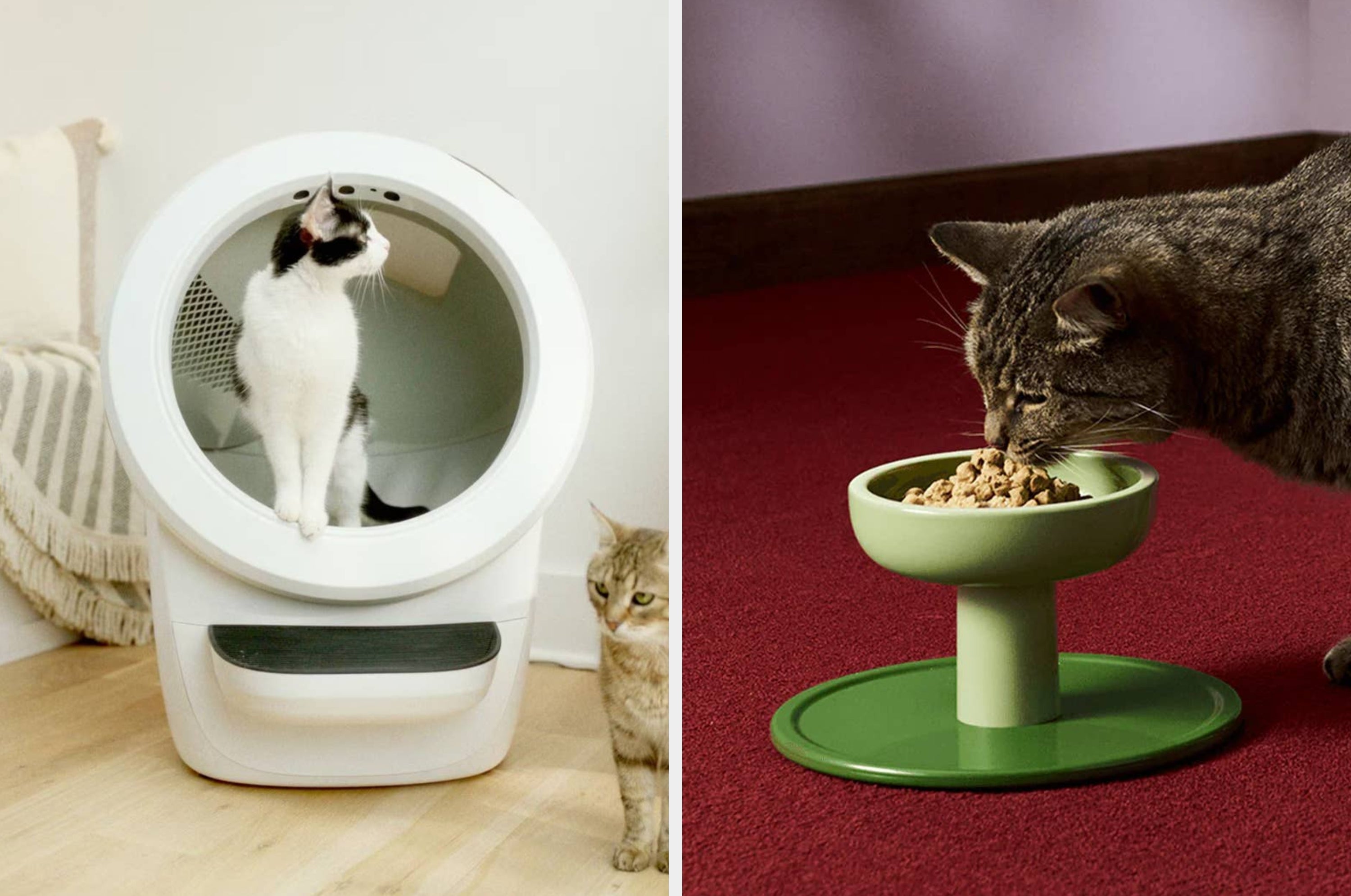 Three-panel image: Left, a cat eats from an elevated bowl; Center, a hand holds a metal litter scoop; Right, a cat stretches against a scratching mat