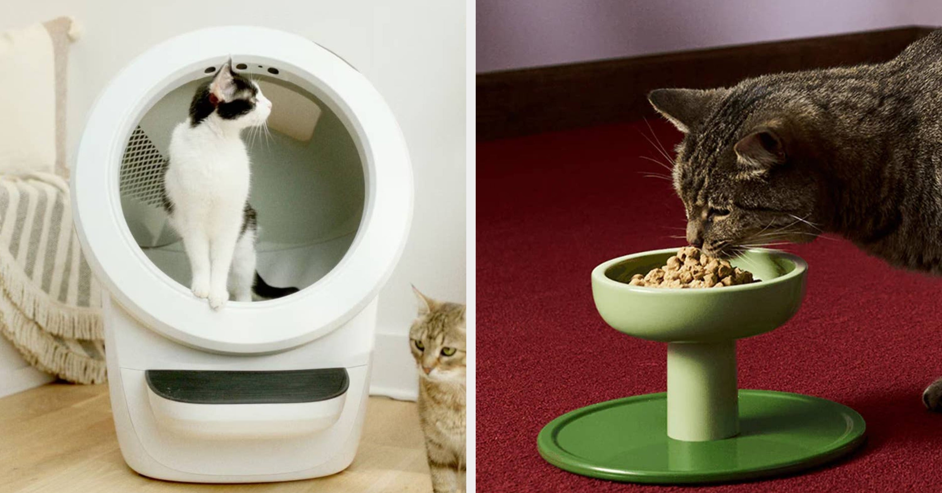 Owning A Cat Is Expensive, So Rest Assured These 27 Useful Products Are Worth Every Penny