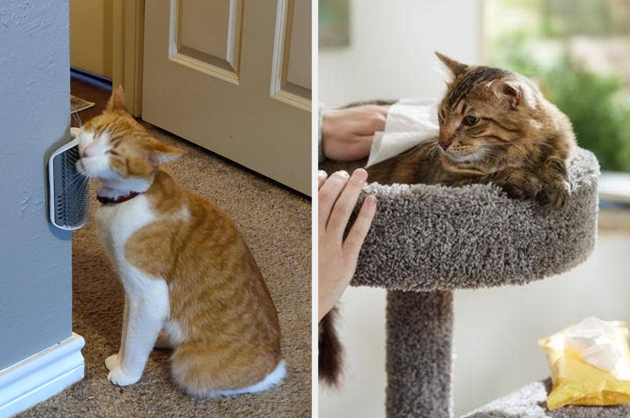 Two cats enjoying grooming: one rubs against a wall-mounted brush; the other relaxes on a cat tower being pet