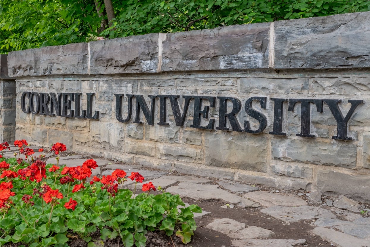 Stone wall with "Cornell University" and nearby red flowers, suggesting a public space on campus