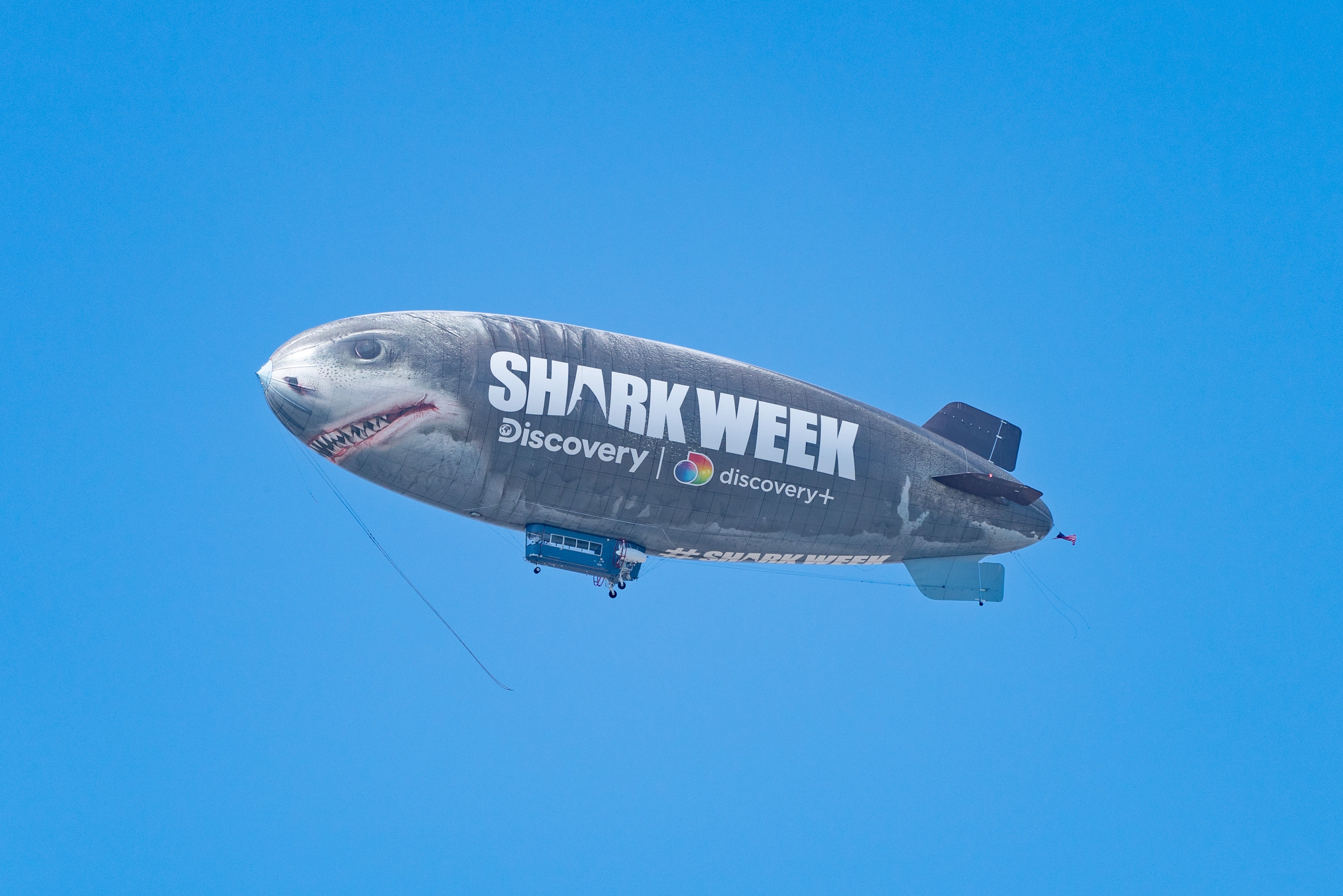 A blimp designed to look like a shark in the sky, promoting "Shark Week" by Discovery and Discovery+