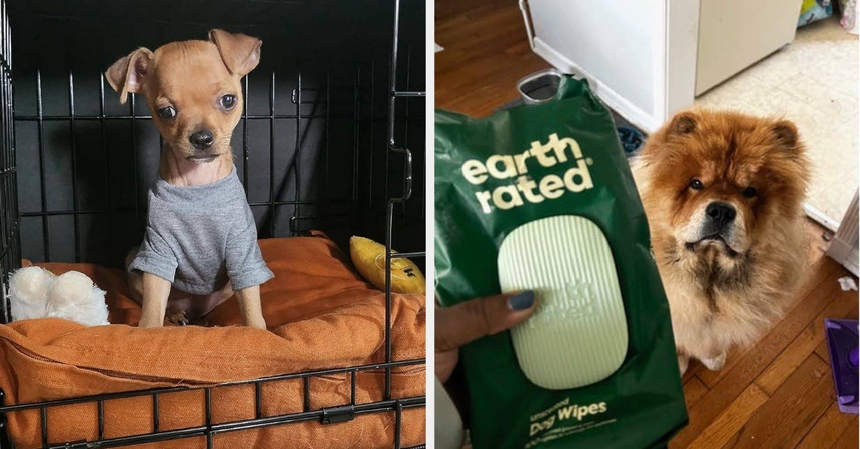 If A Puppy Is Currently Running Your Household, You’ll Wanna Check Out These 27 Problem Solvers