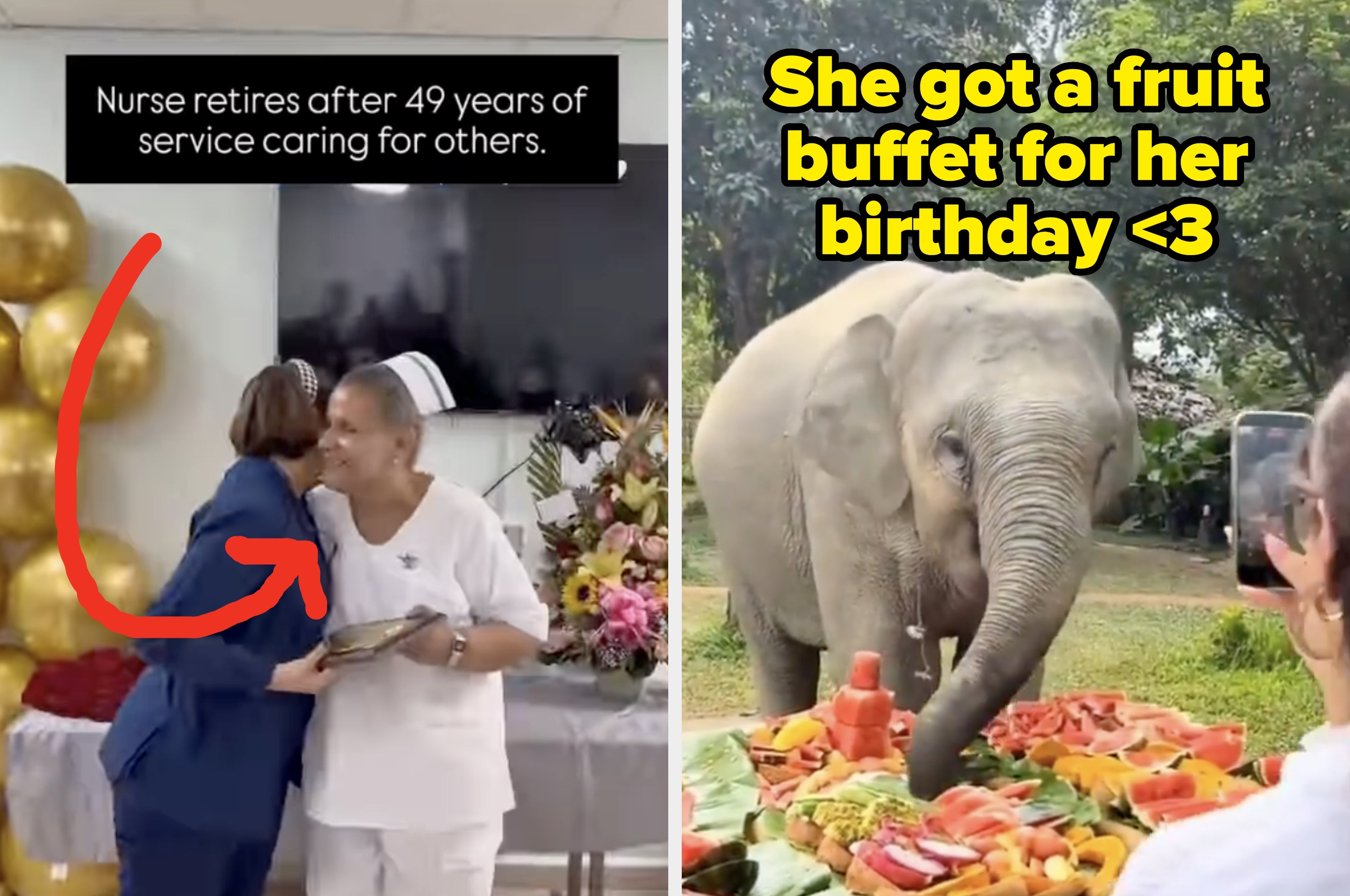 Split image: Left, a nurse is celebrated at retirement party. Right, an elephant enjoys a colorful fruit buffet