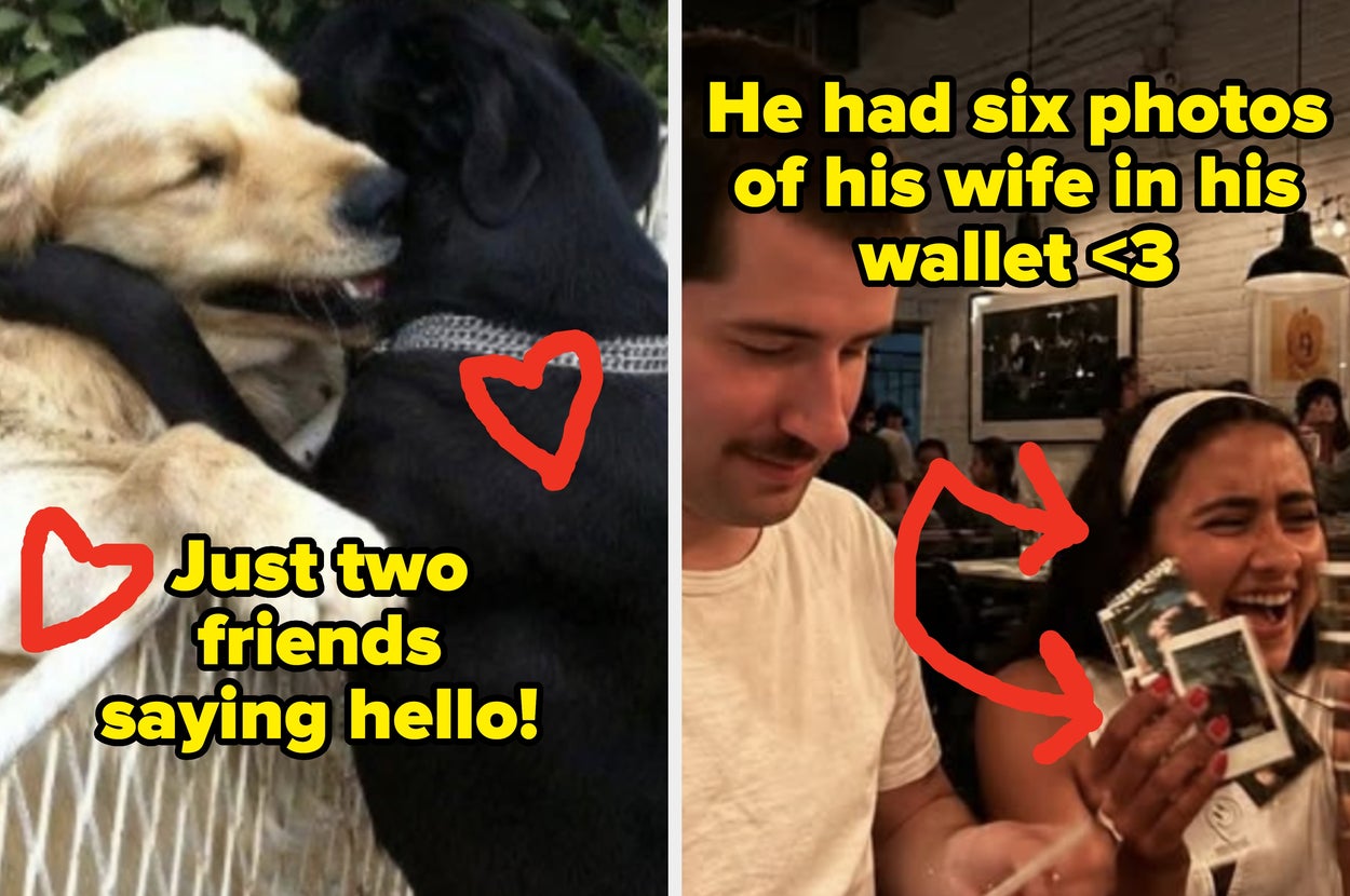 24 Pure And Heartwarming Posts Of Humans And Animals Being Adorable That Will Give Your Week The Perfect Headstart