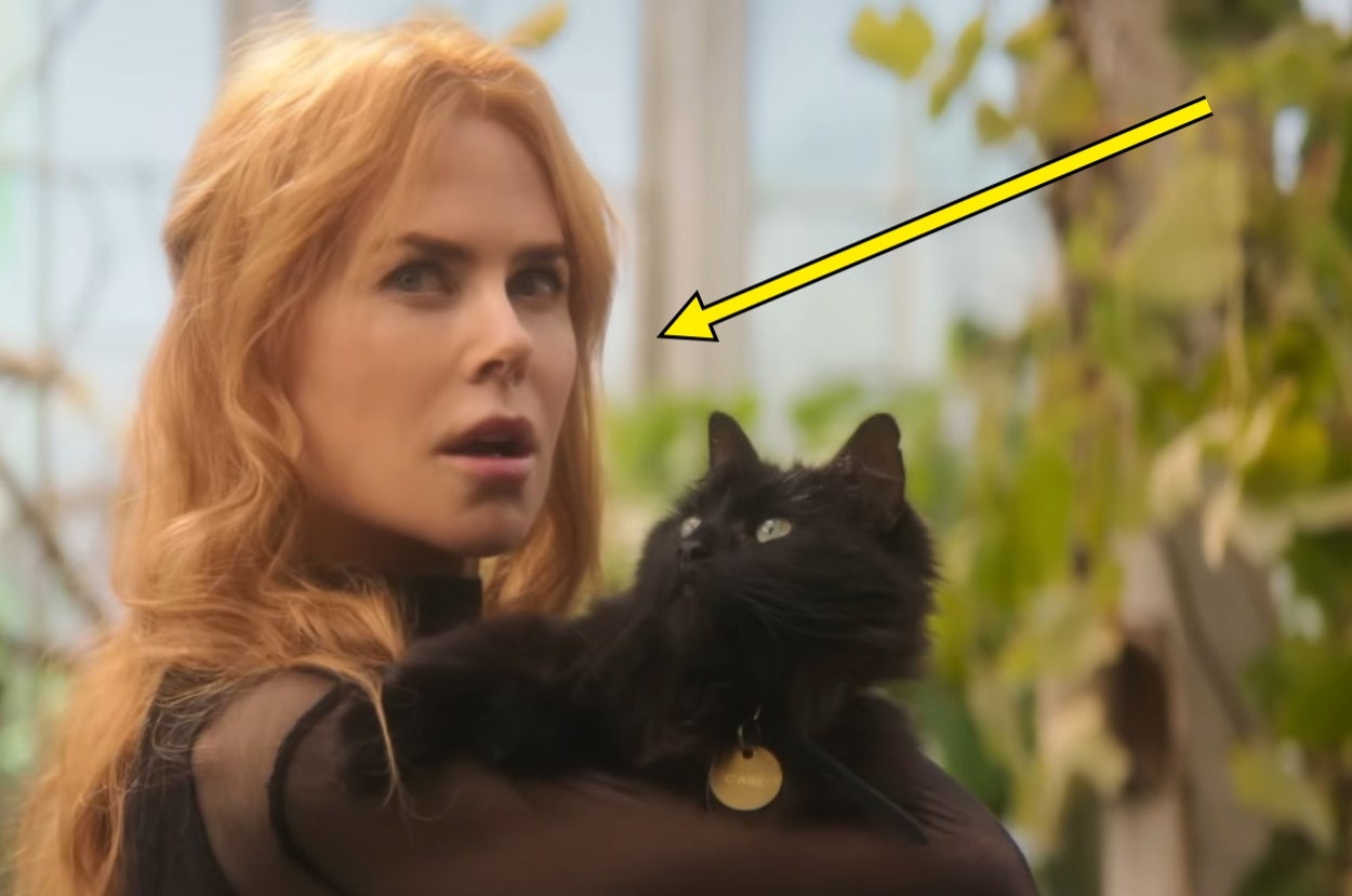 Person with wavy hair, wearing a sheer black top, holding a black cat with a curious expression. An arrow points to the cat’s face