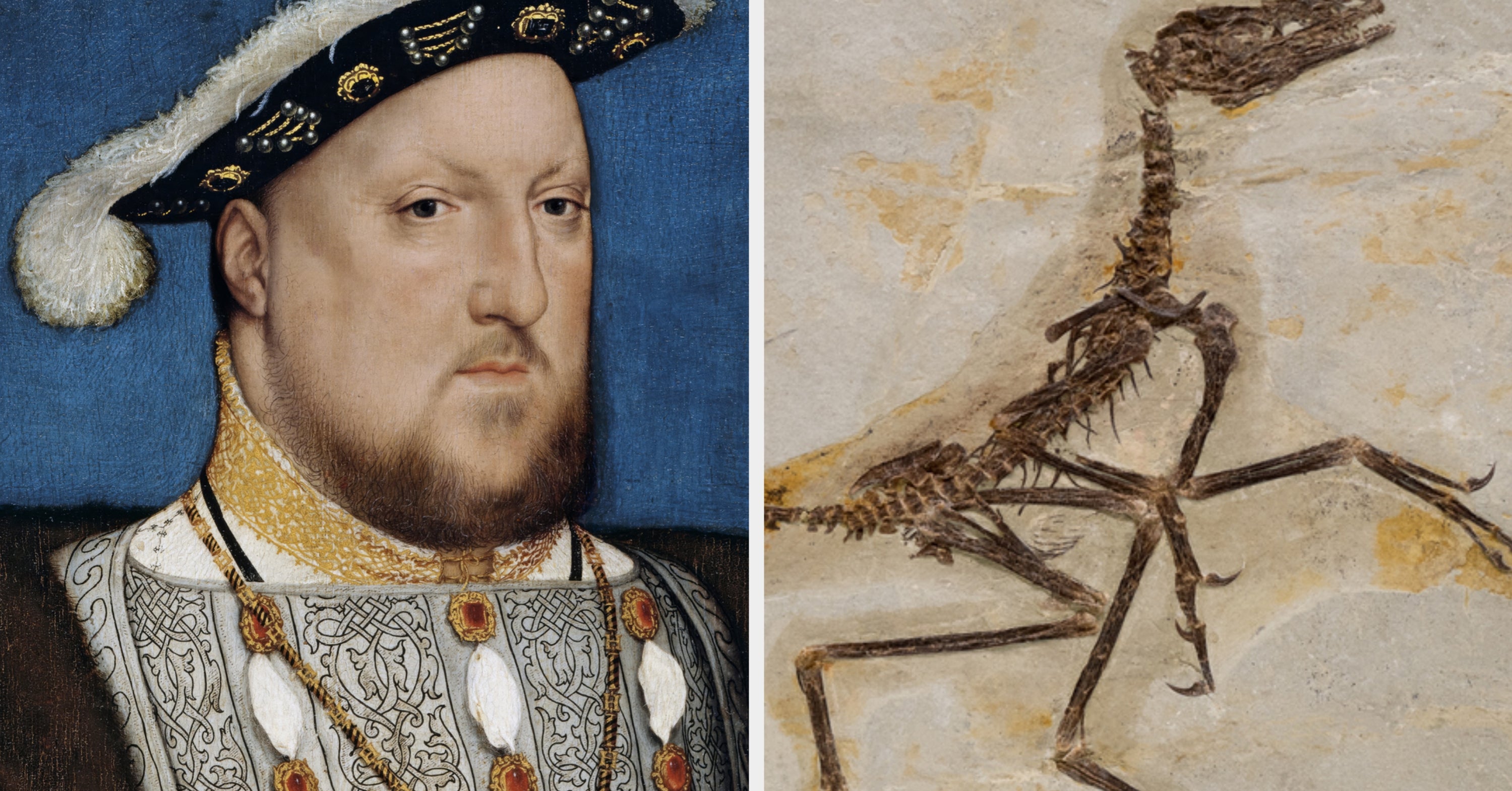 If You Can't Get 5/5 On This Science And History Hybrid Quiz, I'm Sending You Back To Middle School