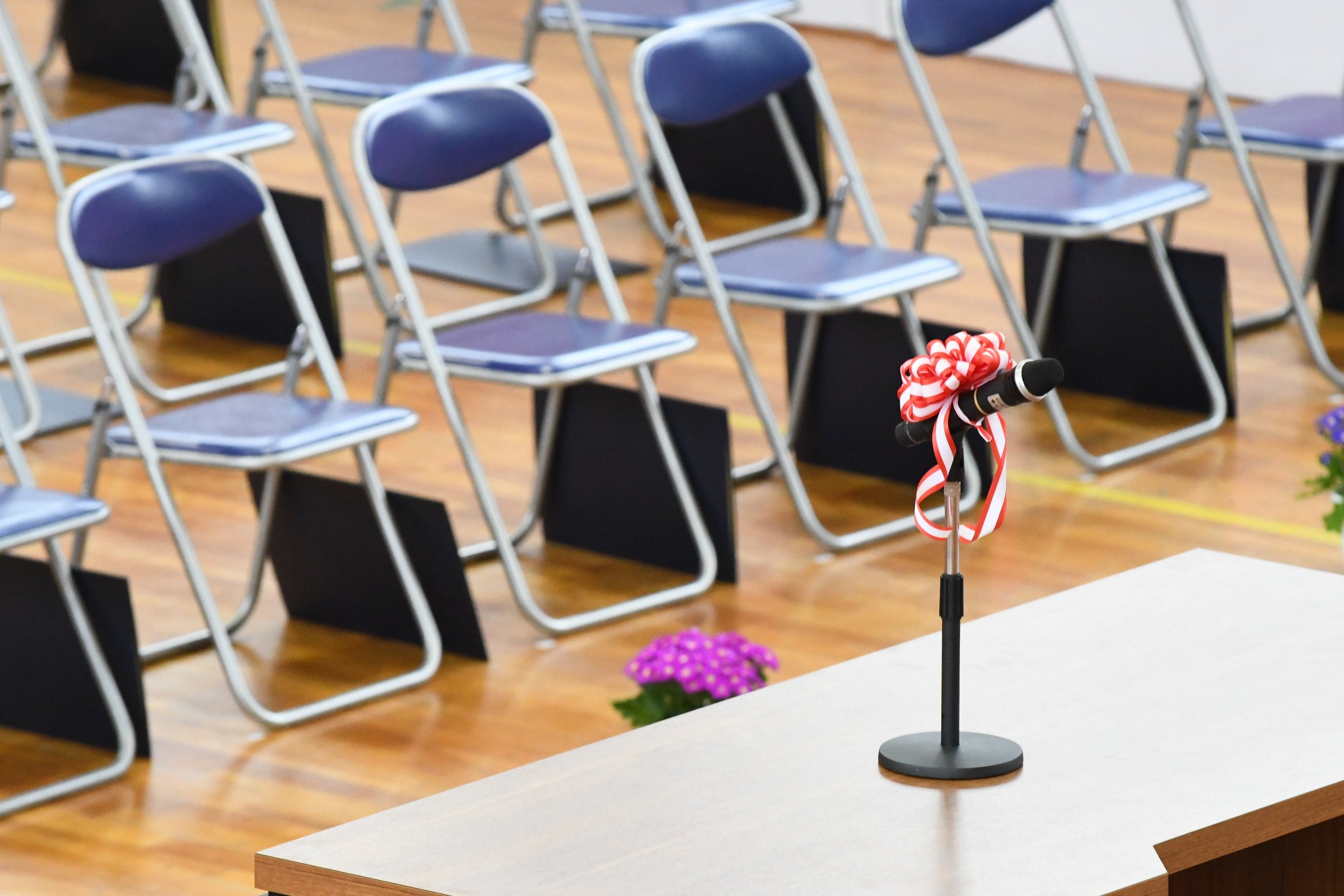 イメージ写真（Hanafujikan / Getty Images）