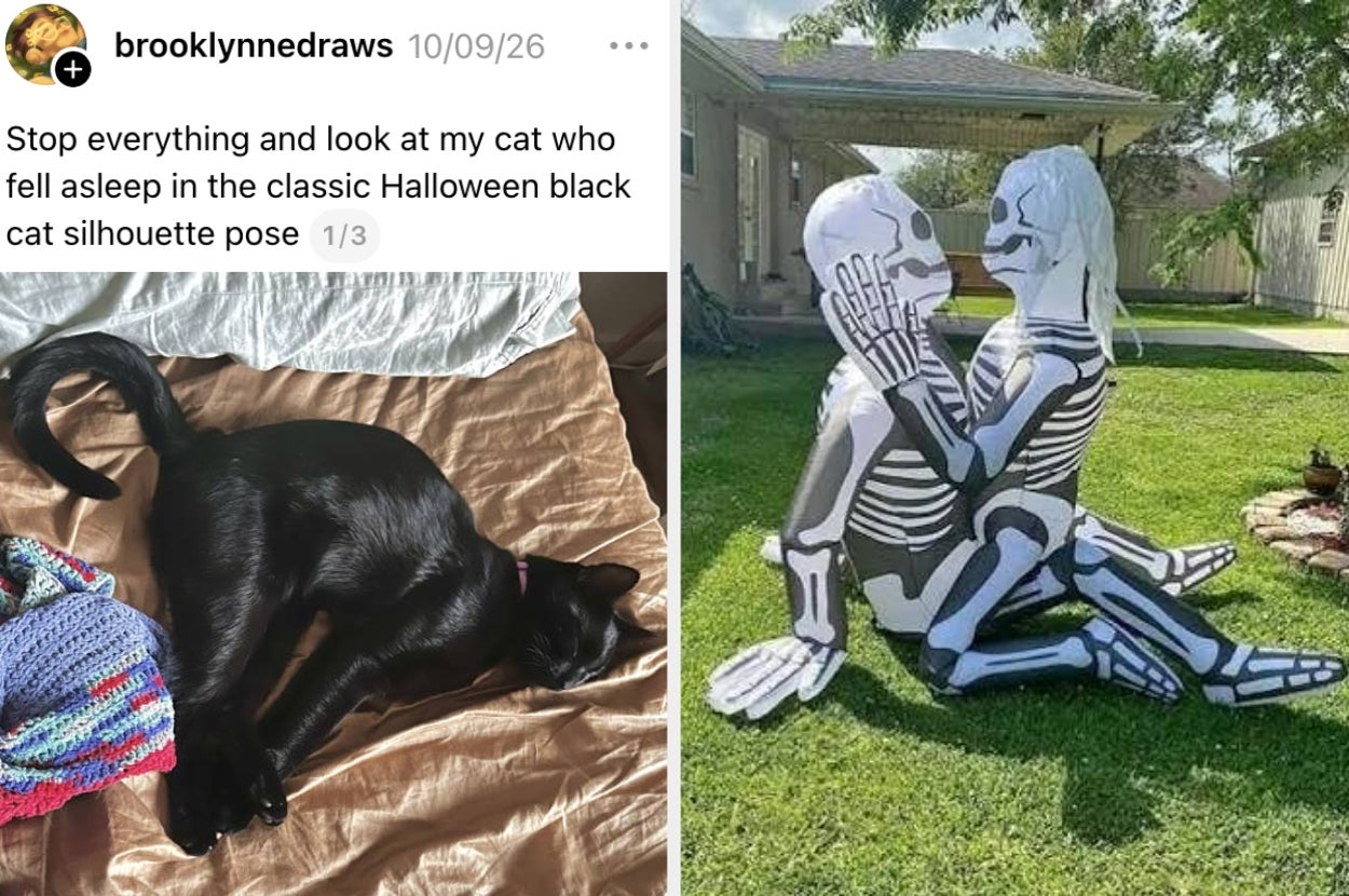 A black cat sleeps in a Halloween-like pose with it's back arched next to an image of inflatable skeletons in a sex position on a yard