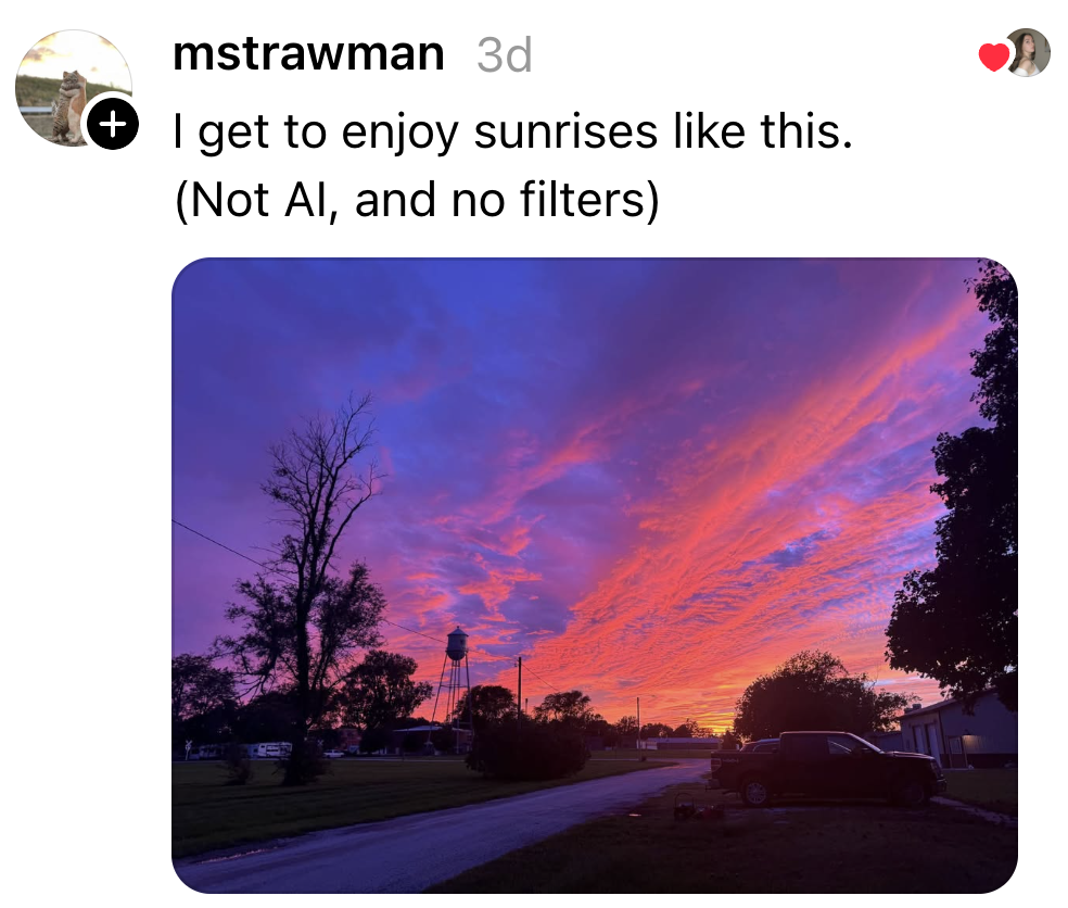 Post image 40