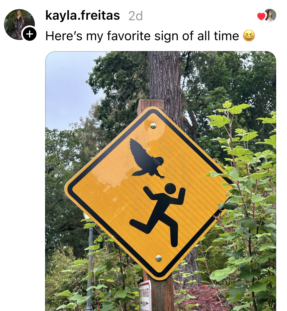 Post image 17