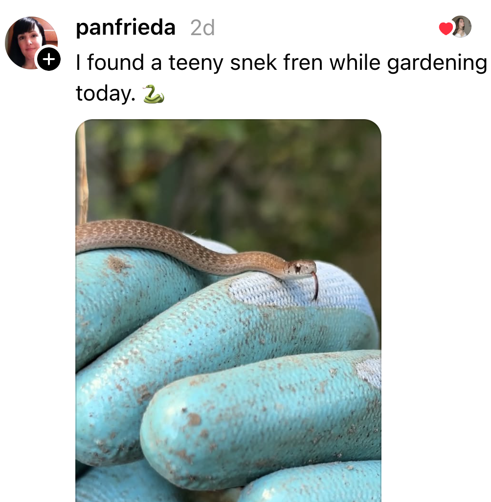 Post image 41