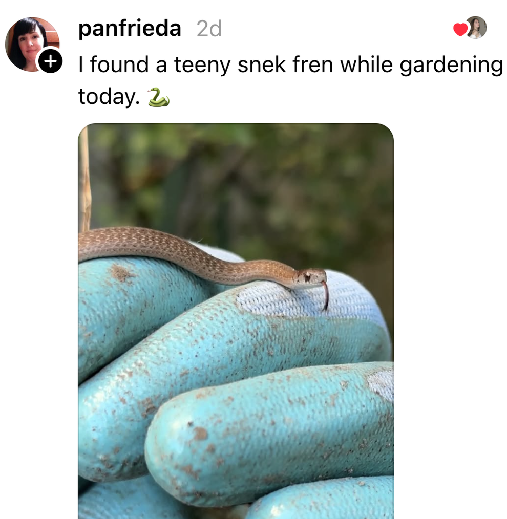 Post image 42