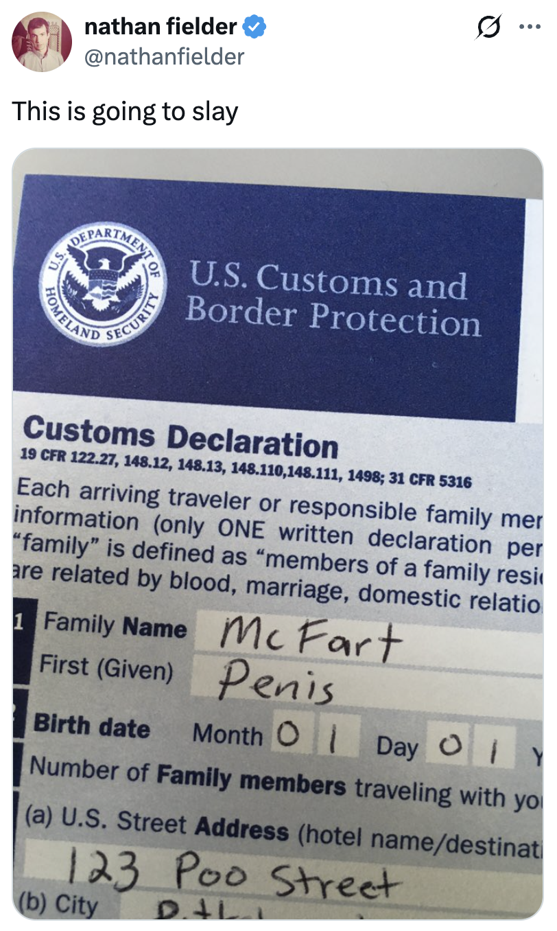 A satirical customs declaration signifier with humorous fake names and details, shared successful a societal media post