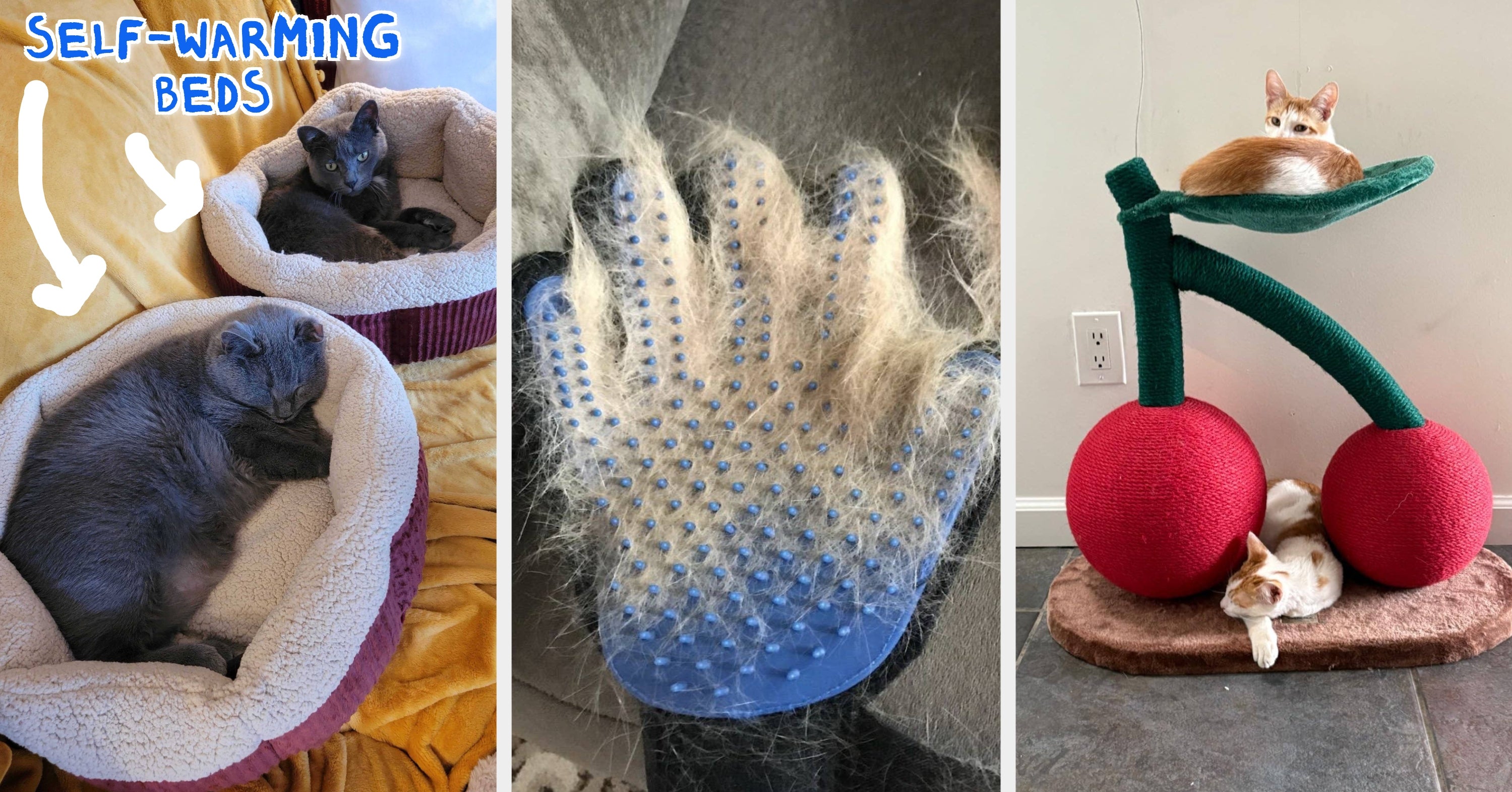 27 Things You Need If Your Cat Is 100% A Diva