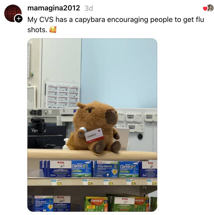Post image 6