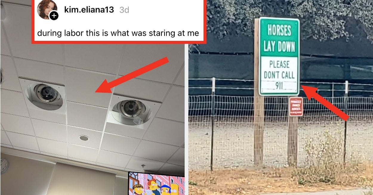 These 36 Random Posts Are Pure Serotonin And I Can't Explain Why