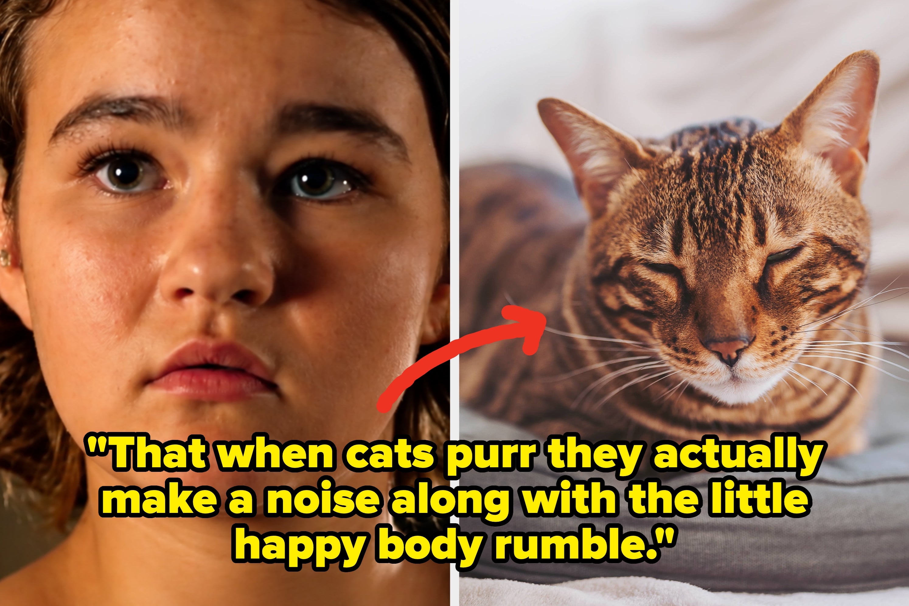 Deaf People Share Sounds That Surprised Them Most