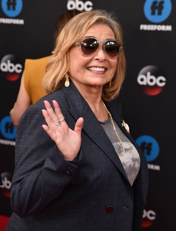 Roseanne Barr successful  sunglasses and a suit   overgarment   waves connected  a reddish  carpet, smiling. Background features TV web  logos.