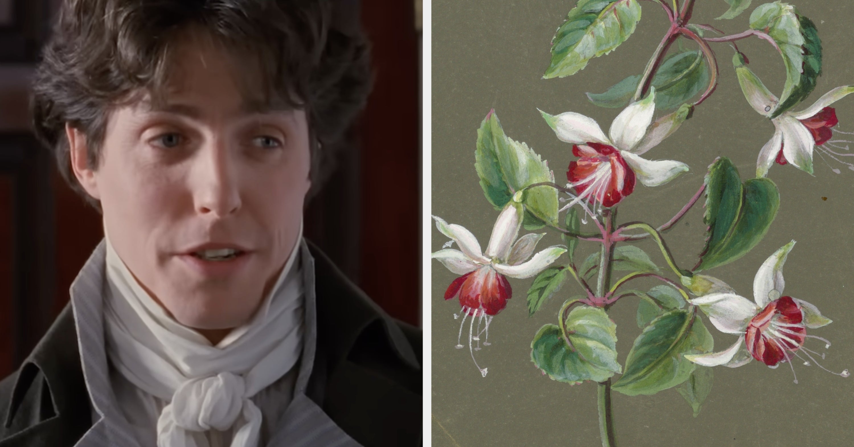 Everyone Has A Romantic Side, And Yours Is Hiding In These 15 Flower Choices - BuzzFeed image