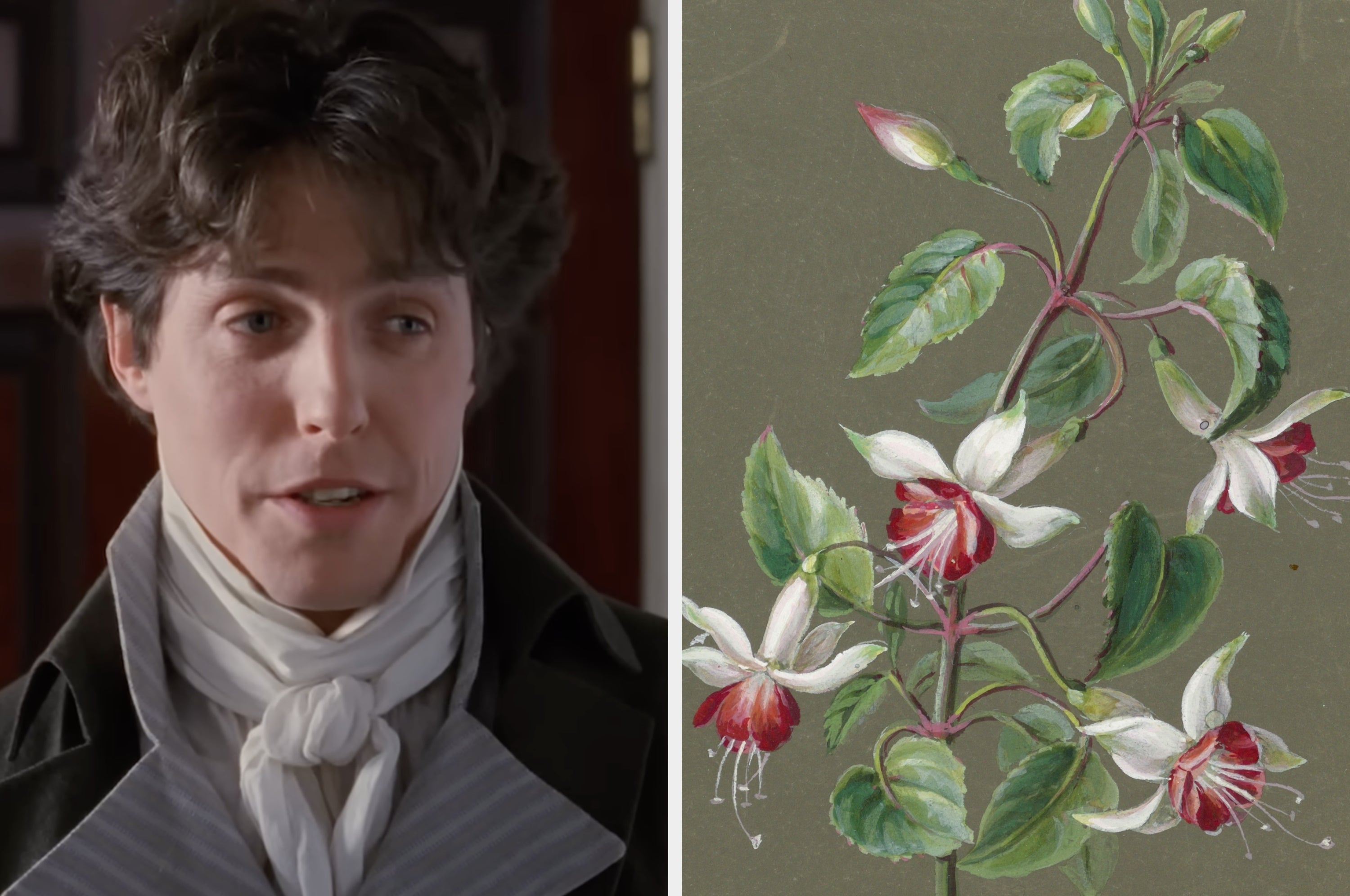 Person in period clothing next to a botanical drawing of fuchsia flowers. Image relates to romance themes