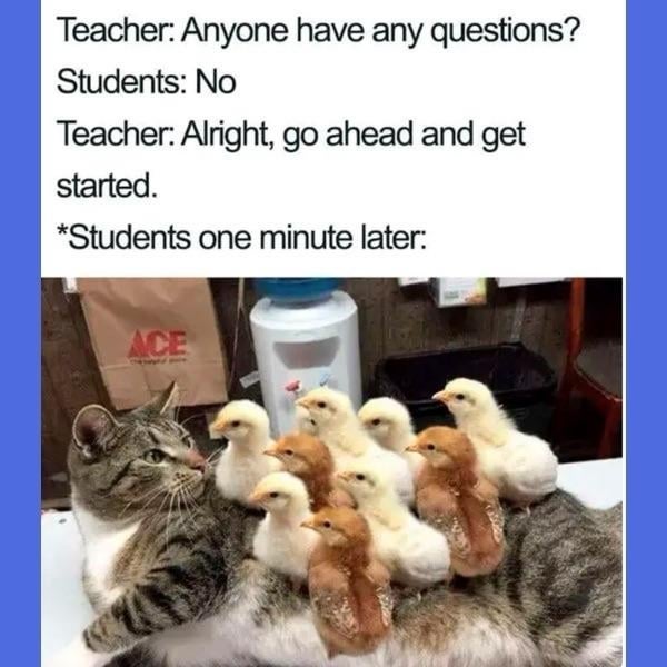 Post image 10
