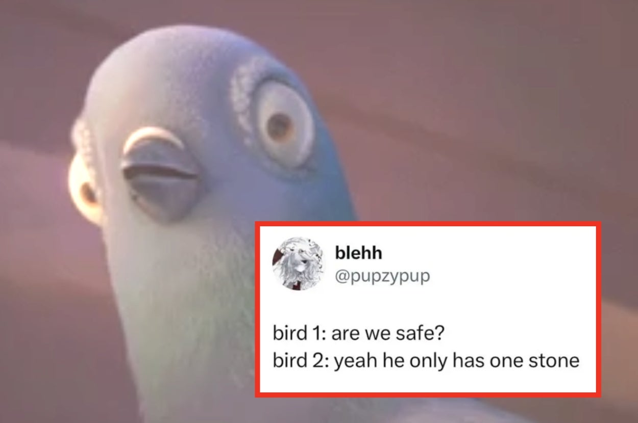 A surprised pigeon with text: "bird 1: are we safe? bird 2: yeah he only has one stone."