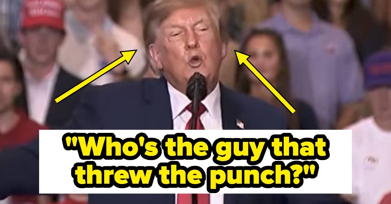 Donald Trump's Reaction To A Protester Getting "Whacked" At A Rally Is Truly Flabbergasting