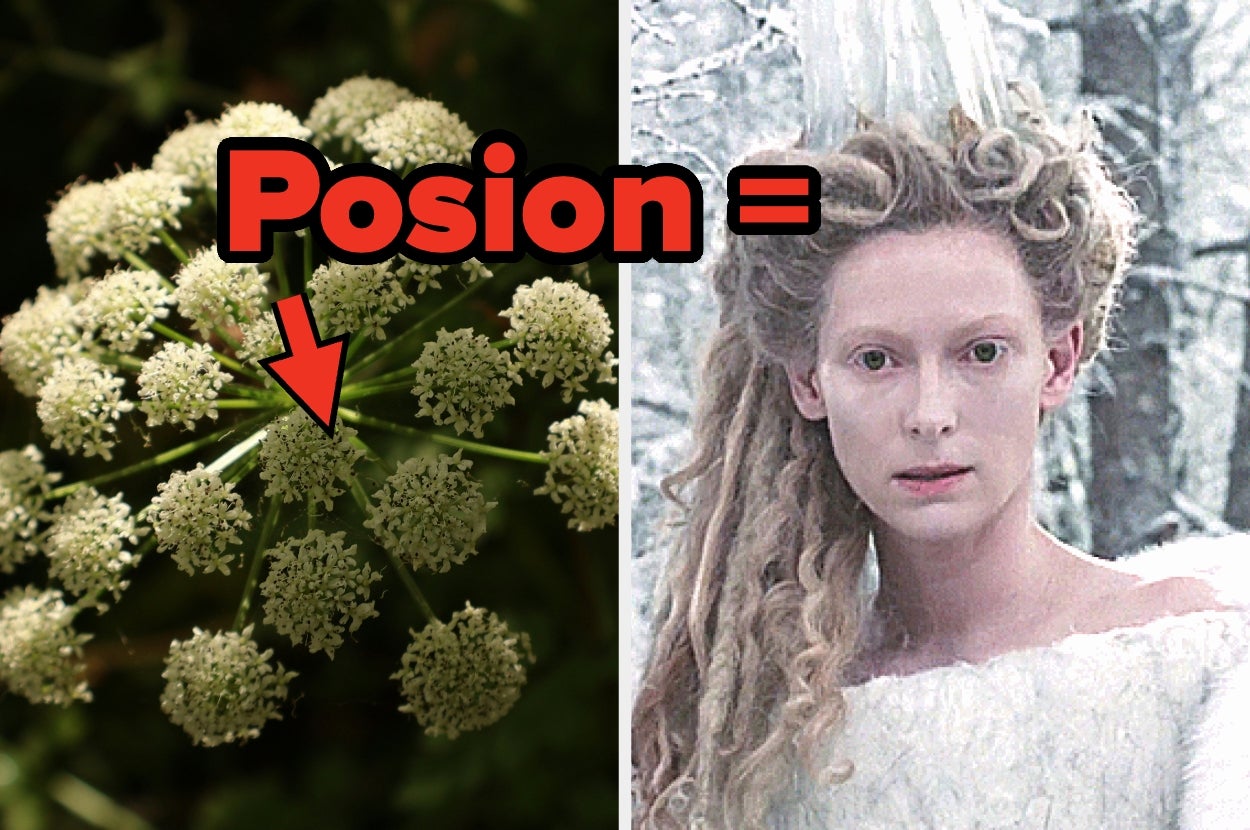 Plant with red arrow labeled "Poison" beside Jadis, the White Witch from "Chronicles of Narnia" in fantasy-style white outfit with intricate hair