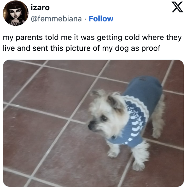 Post image 38