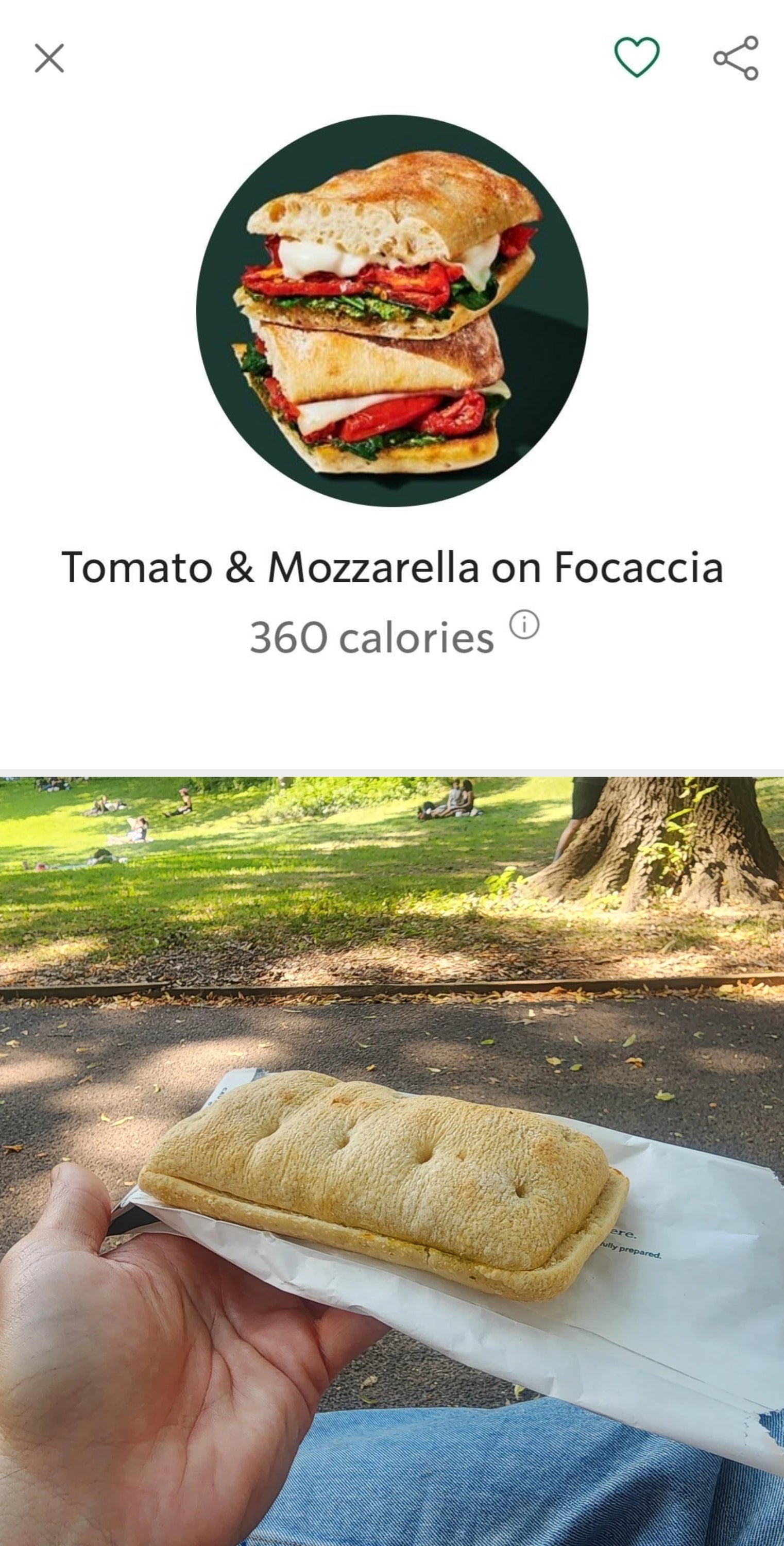 Tomato and mozzarella sandwich connected  focaccia with basil, shown successful  an app listing, marked arsenic  360 calories