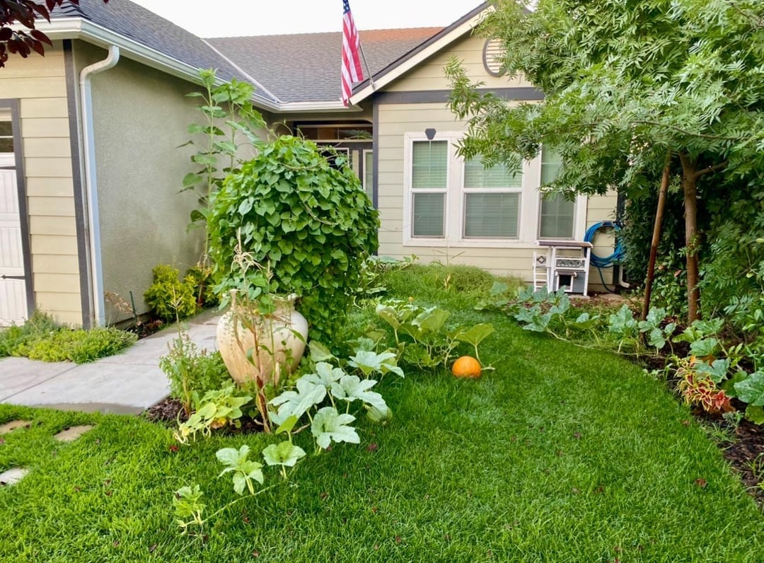 Front gait   featuring a lush plot  with a pumpkin connected  the lawn, a potted plant, and an American emblem  mounted connected  the house
