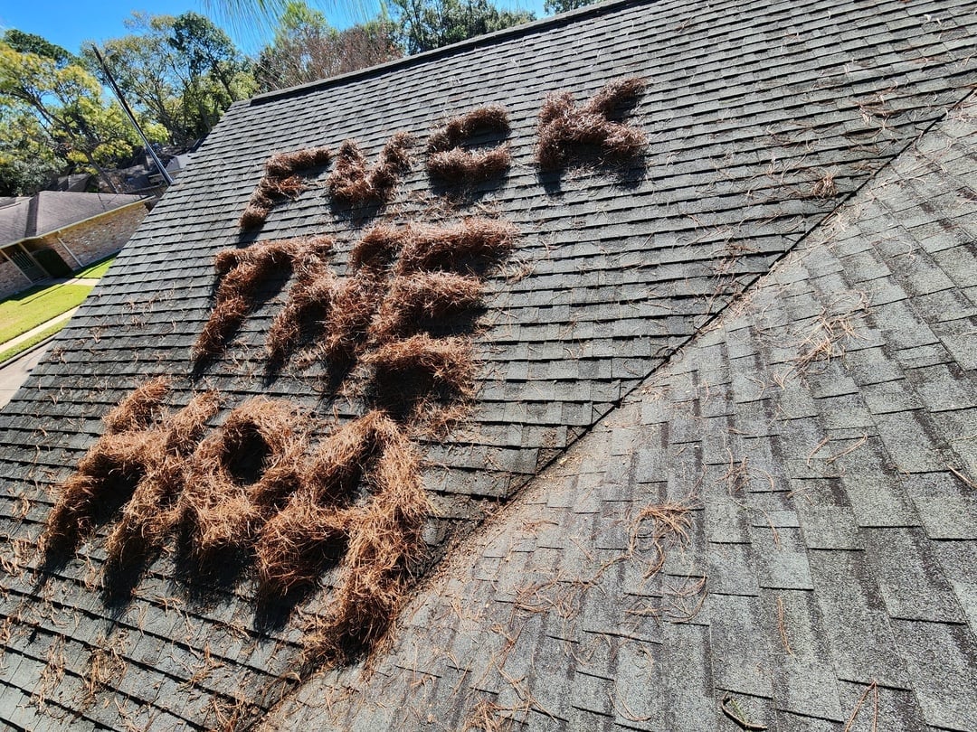 Roof with conifer  needles spelling "FUCK THE HOA" connected  shingles, surrounded by trees and houses