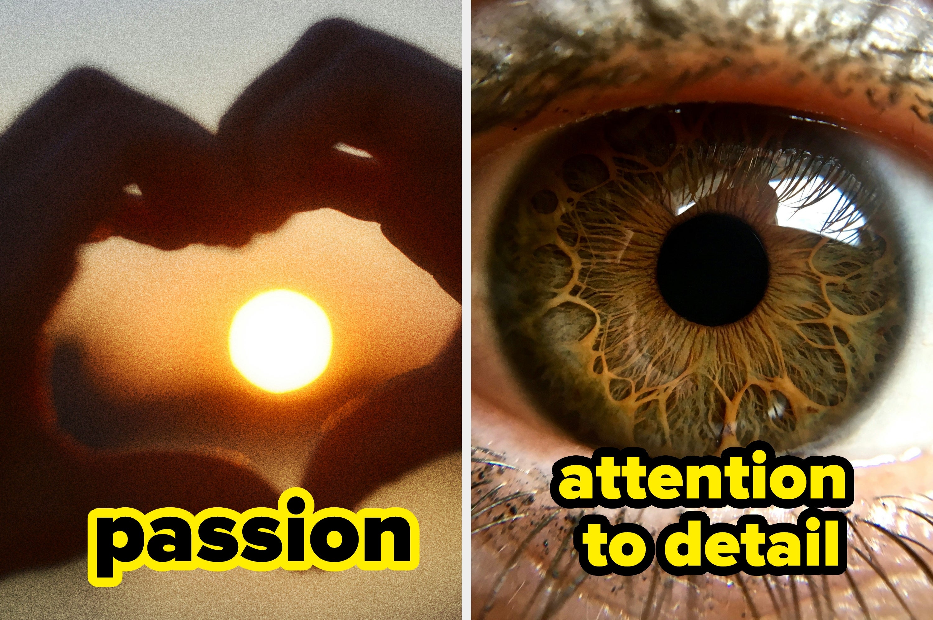 Left: Heart made with hands framing sun; "passion" text. Right: Close-up of eye; "attention to detail" text