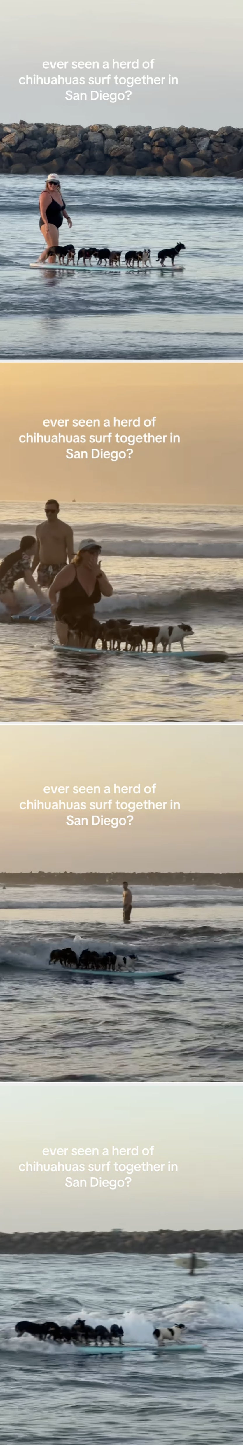 Post image 24
