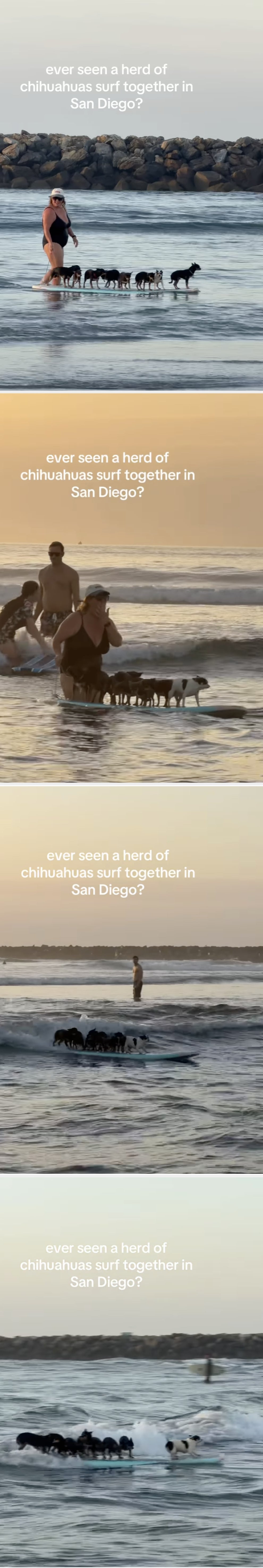 Post image 25