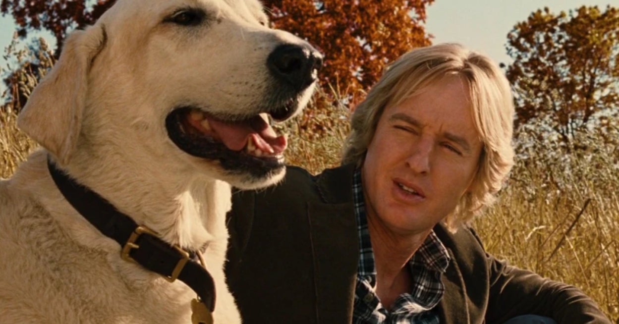 Your Pet Preferences Will Reveal If You're An Introvert Or Extrovert With Scary Accuracy