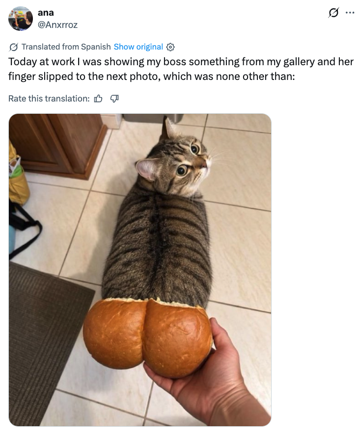 Post image 13