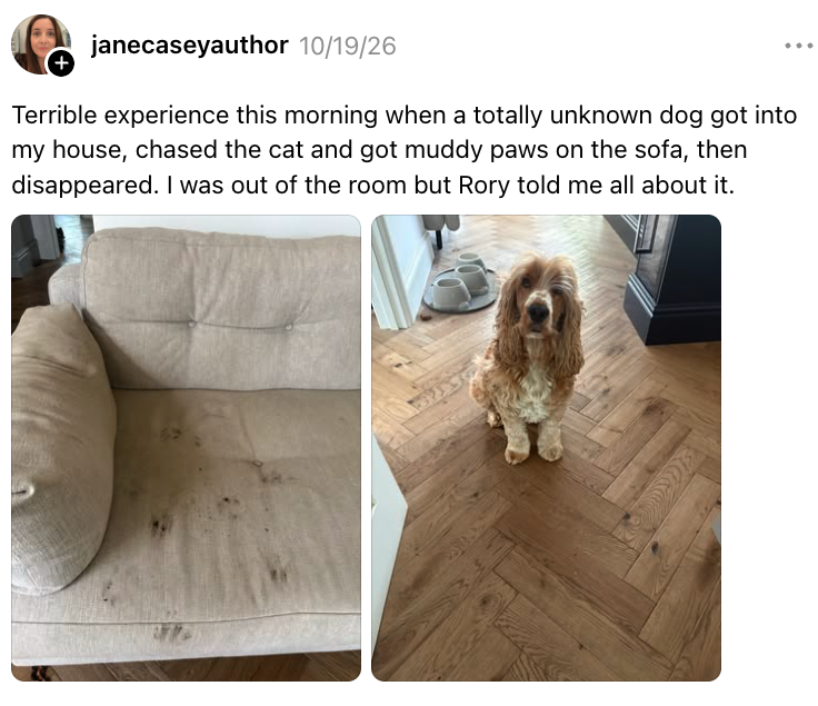 Post image 20
