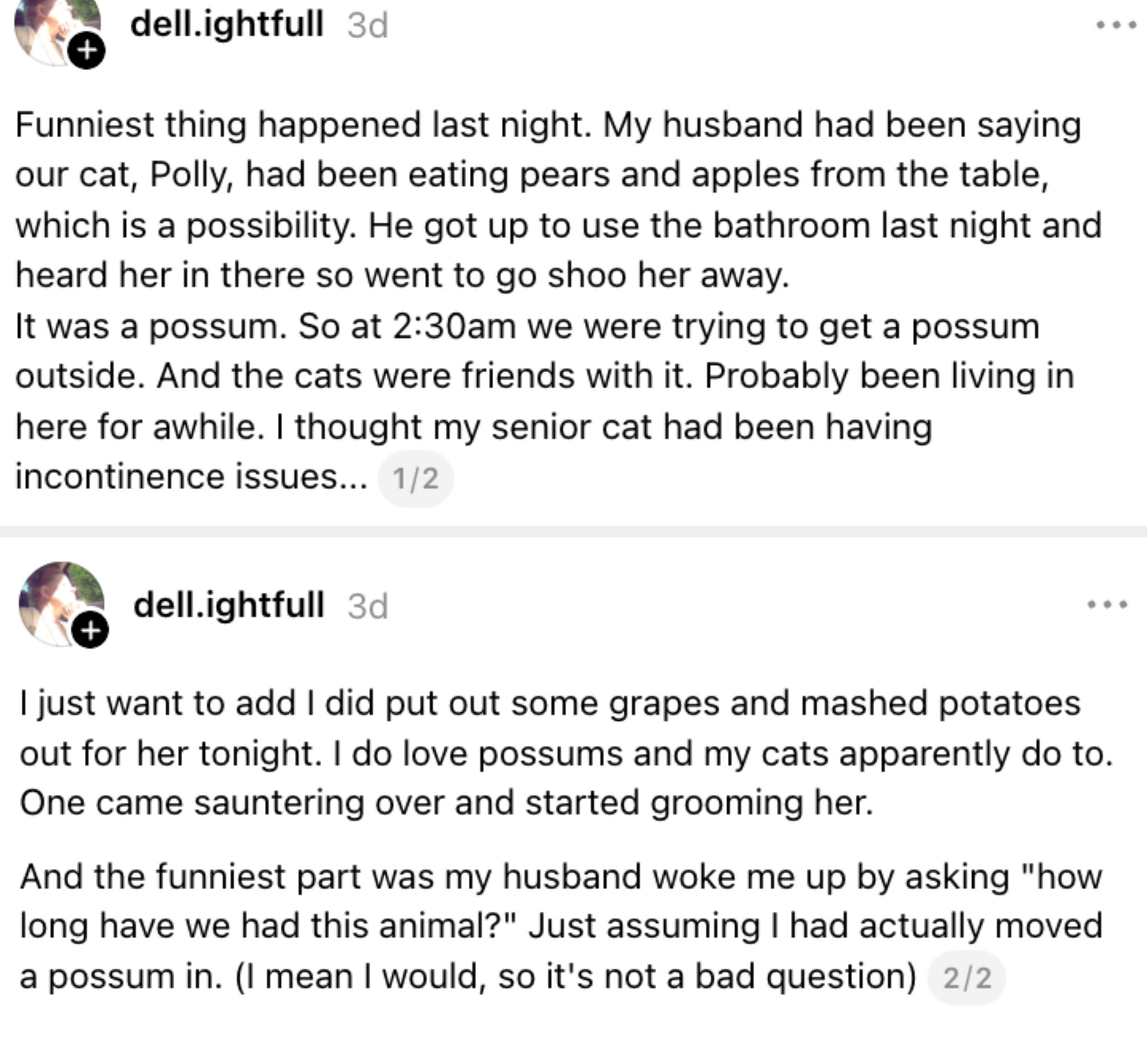 Post image 36