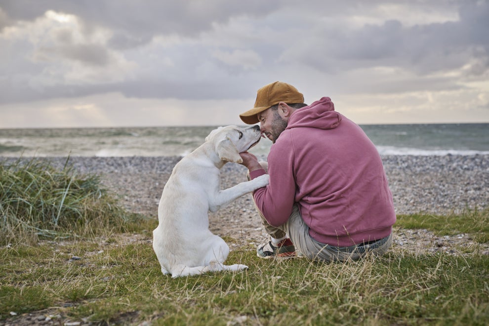 Post image 13
