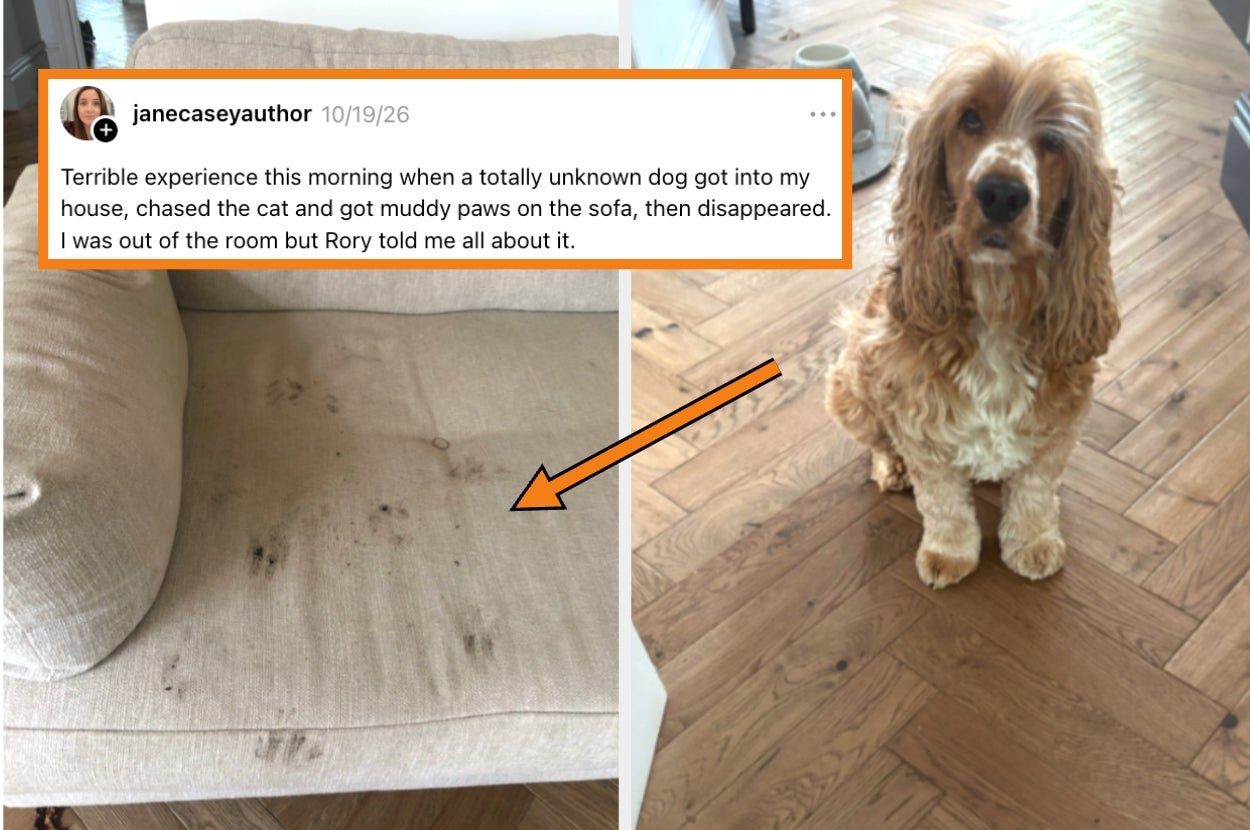 A dog with muddy paws sits on a floor beside a couch with mud stains. A social media post describes a mischievous incident involving the dog
