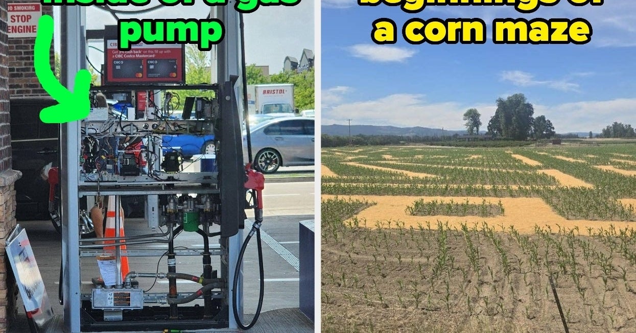 159 Photos I Found Online This Year That Have Pretty Much Broken My Brain