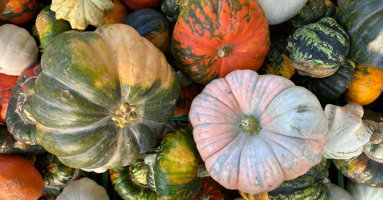 Your Inner Pumpkin Variety Actually Says A LOTTTTTTTTTTTTT About You, So Act Like A Pumpkin In The Patch To Determine Yours