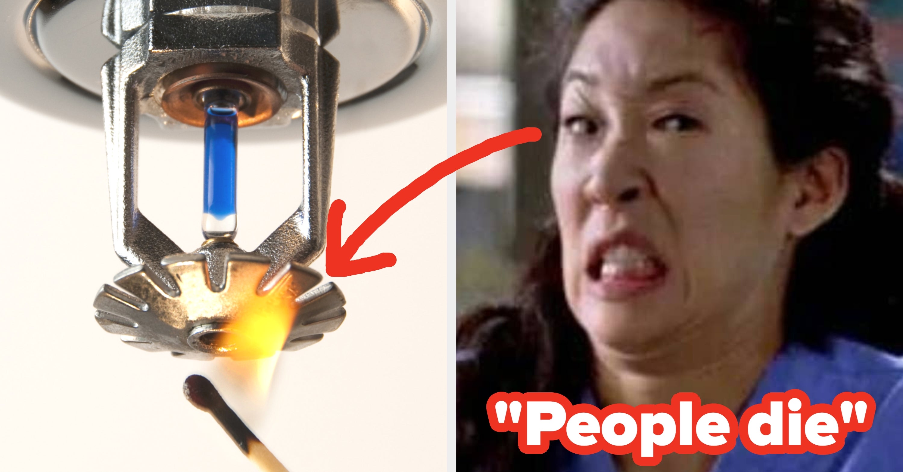 "It Costs Lives": People Are Sharing The "Facts" TV Shows And Movies Taught Us That Are — Surprise! — Total BS