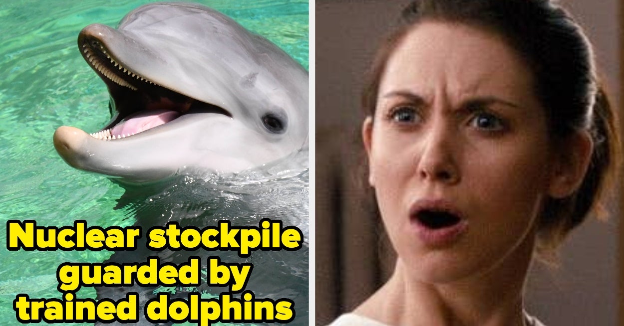 "Only 30 People Worldwide Have Been Known To Recover": People Are Sharing The Strangest Random Facts That You Absolutely Should Have Learned In High School