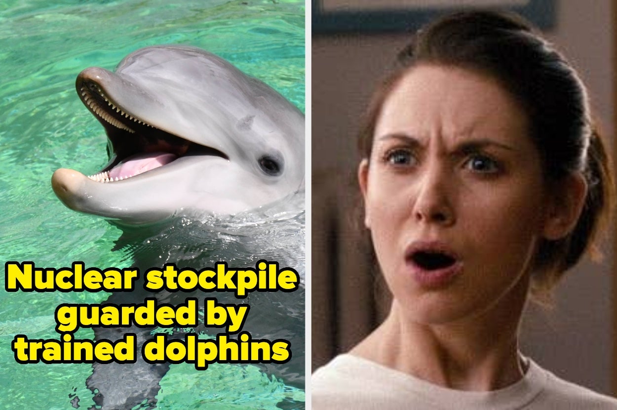 "Its Orgasm Lasts 30 Minutes": These 25 Random Facts About Literally Everything Are Going To Send You Down A Rabbit Hole, And I Feel Smarter Already