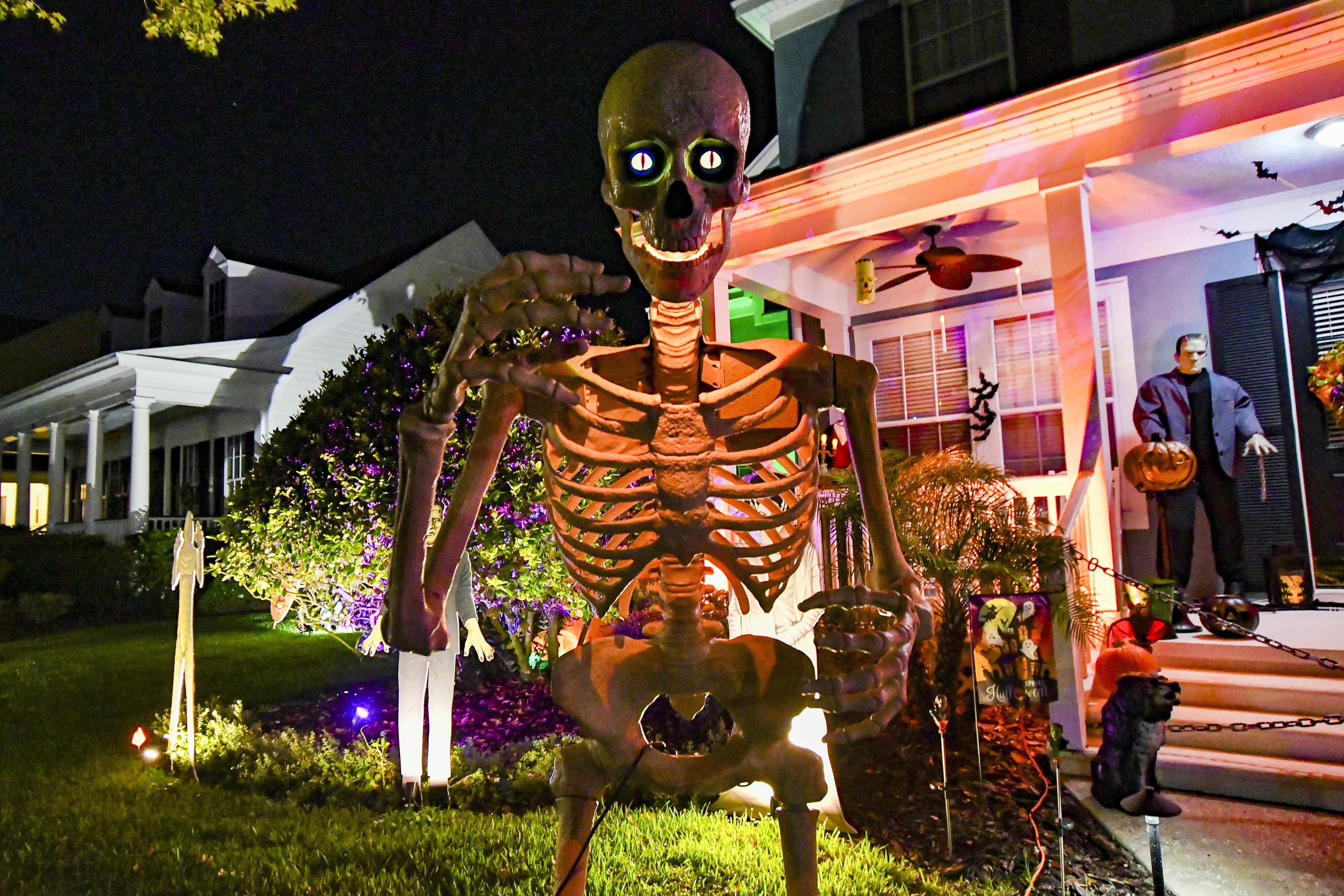 A large skeleton Halloween decoration stands in a front yard, surrounded by lights and other spooky decorations, near a house porch at night