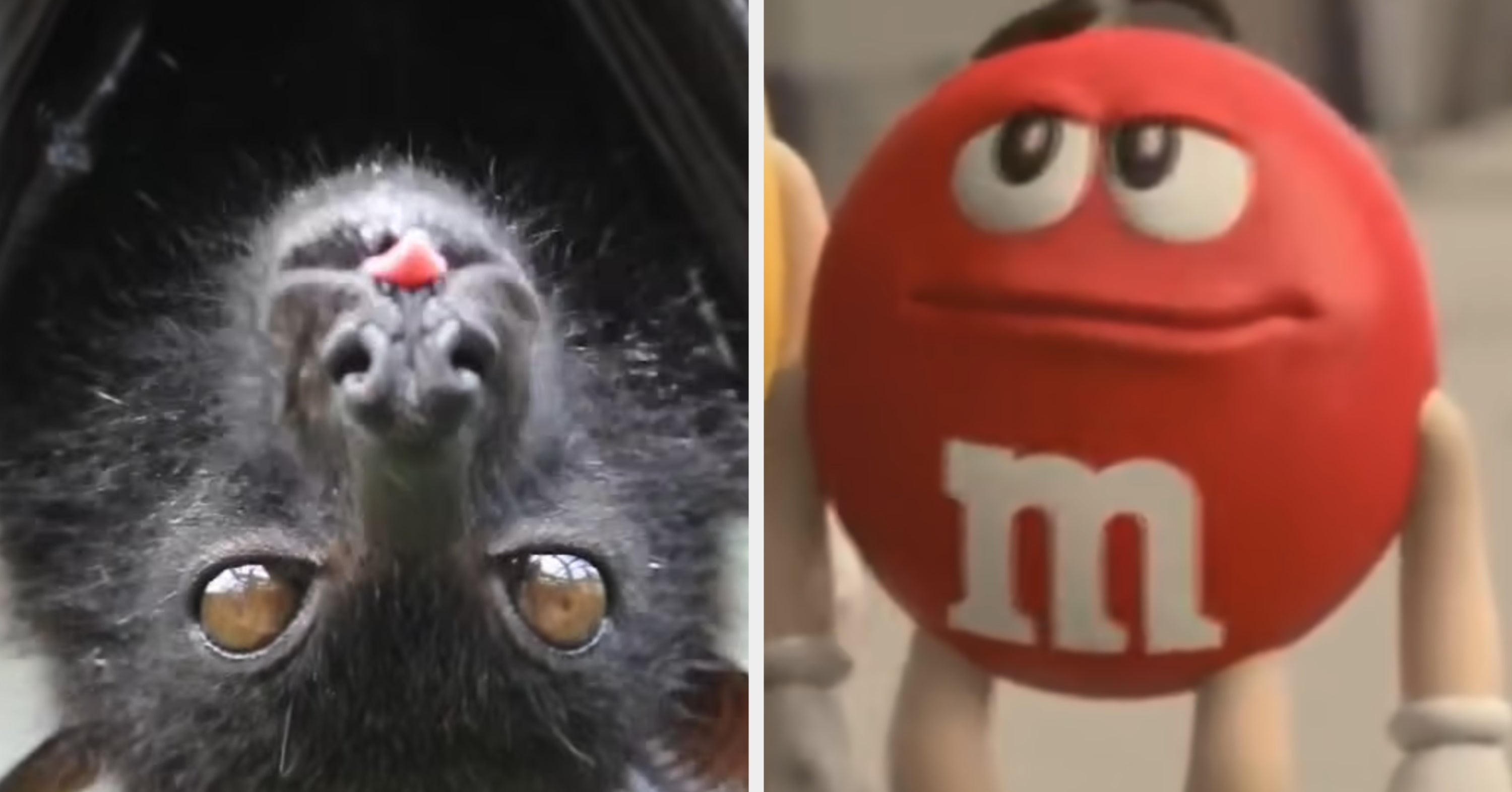 I Made This Bite-Sized General Knowledge Quiz Extra Spooky In Honor Of Halloween
