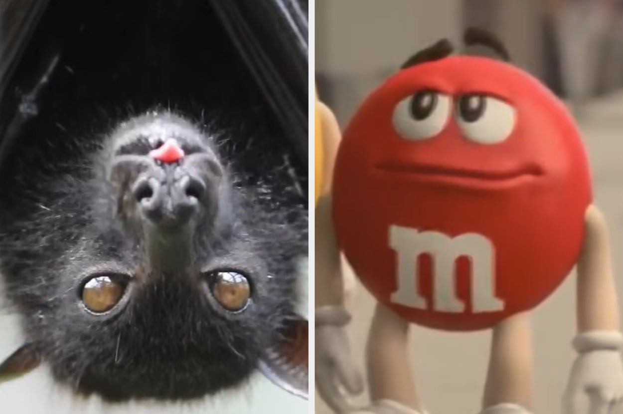 Today's Daily Trivia Is Halloween-Themed — Can You Get 5/5?