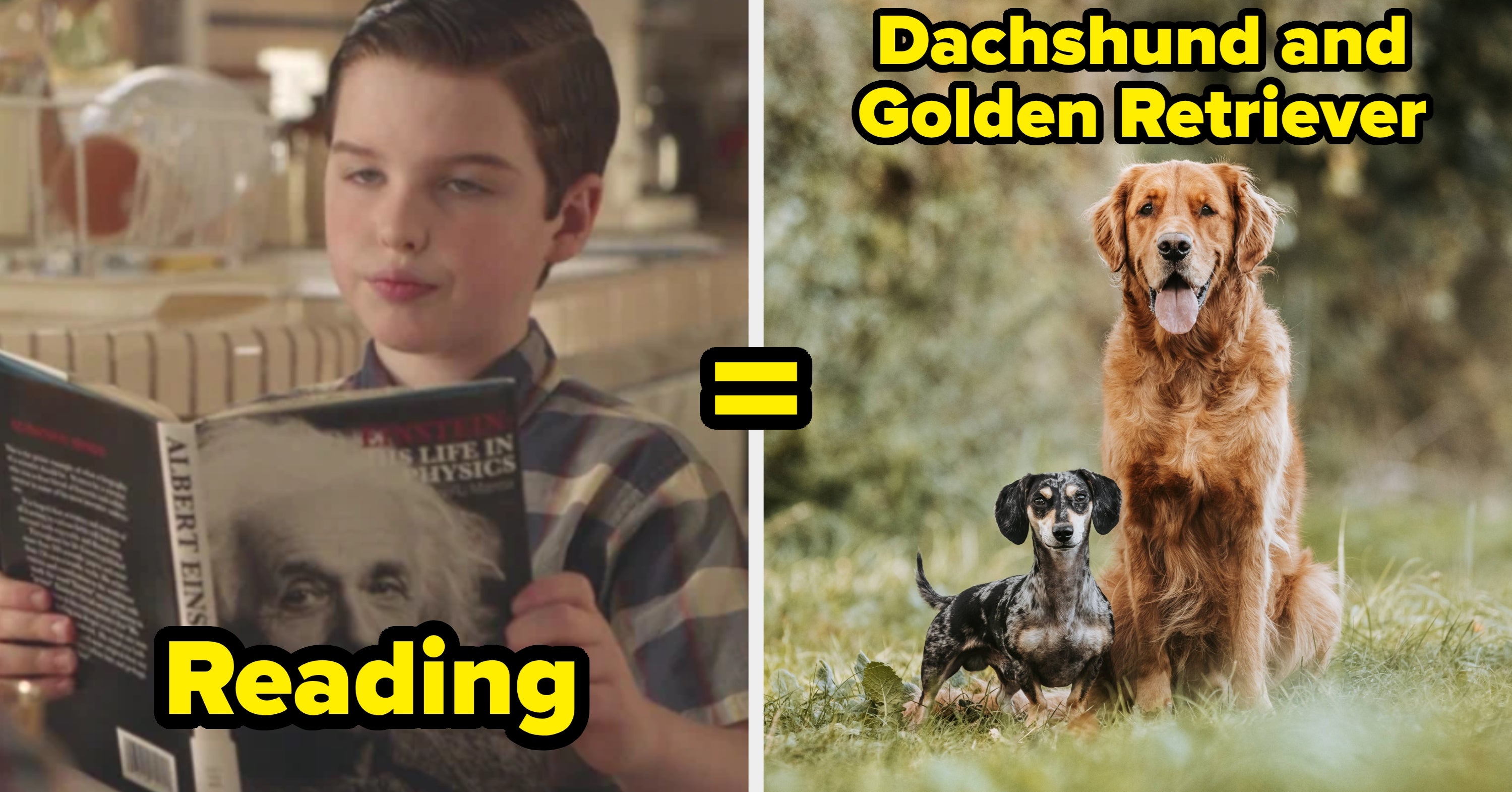 Everyone’s Personality Is A Mix Between A Large Breed Of Dog And A Small Breed Of Dog — What’s Your Combo?